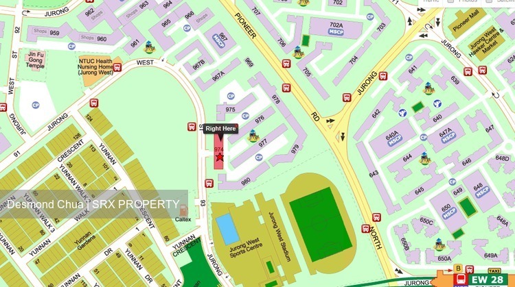 Blk 974 Jurong West Street 93 (Jurong West), HDB Executive #204688491